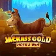 Jackass Gold Hold & WinNovomatic game icon