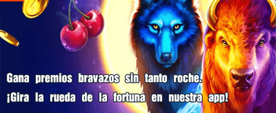Gana el Jackpot en Tinka Casino